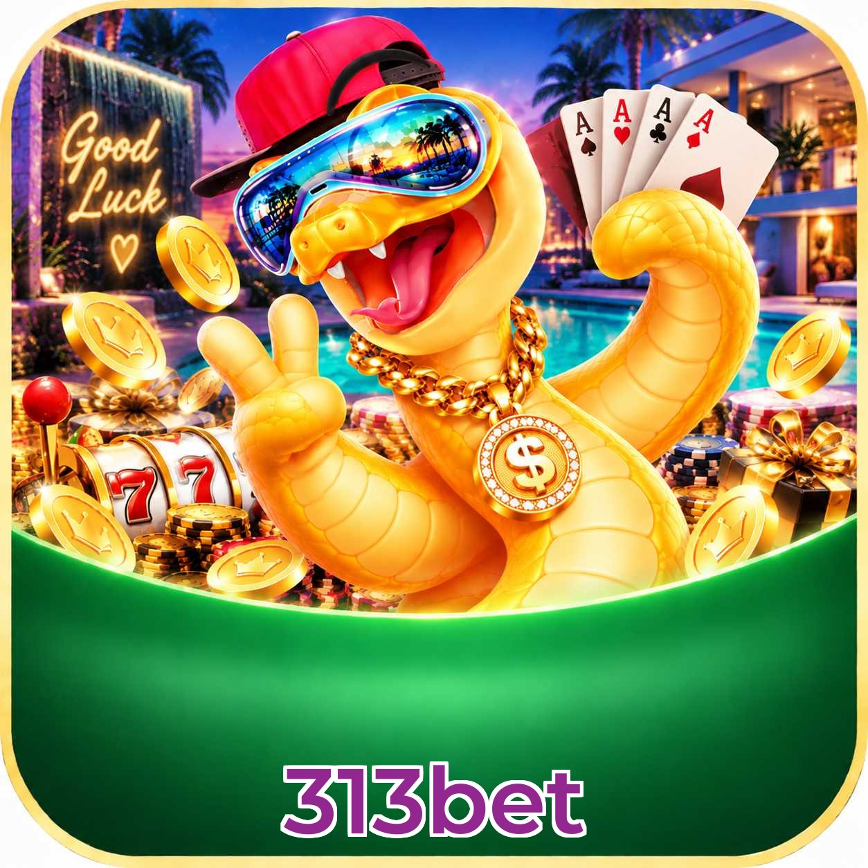 313bet Live Dealers