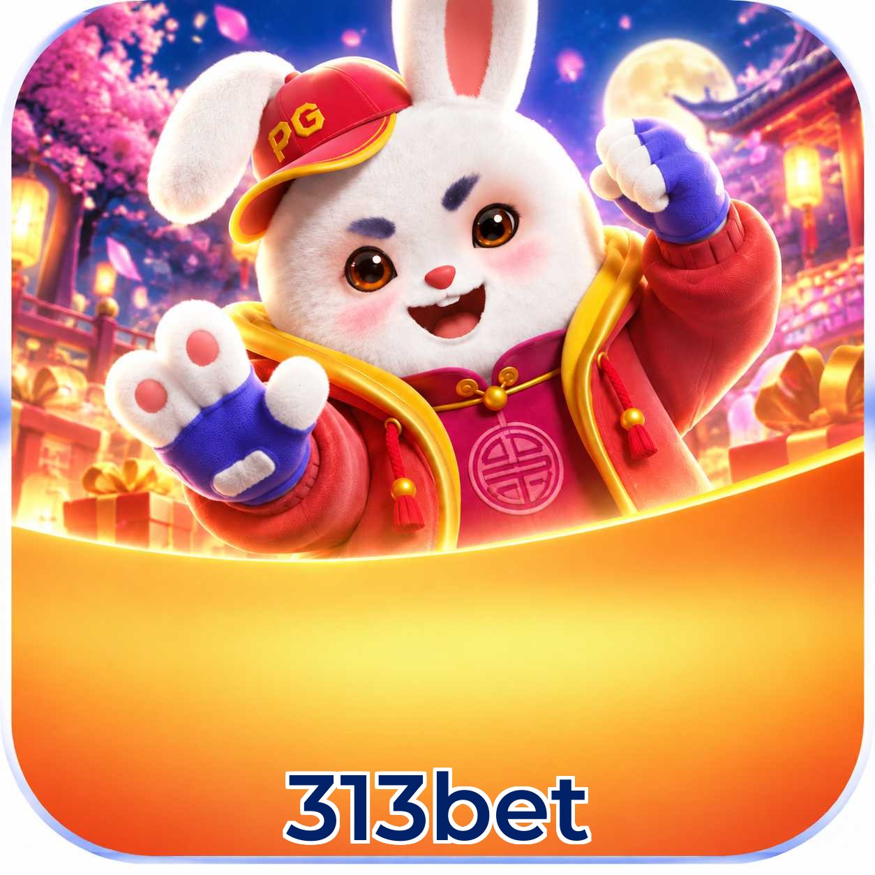 313bet Bonus FAQ